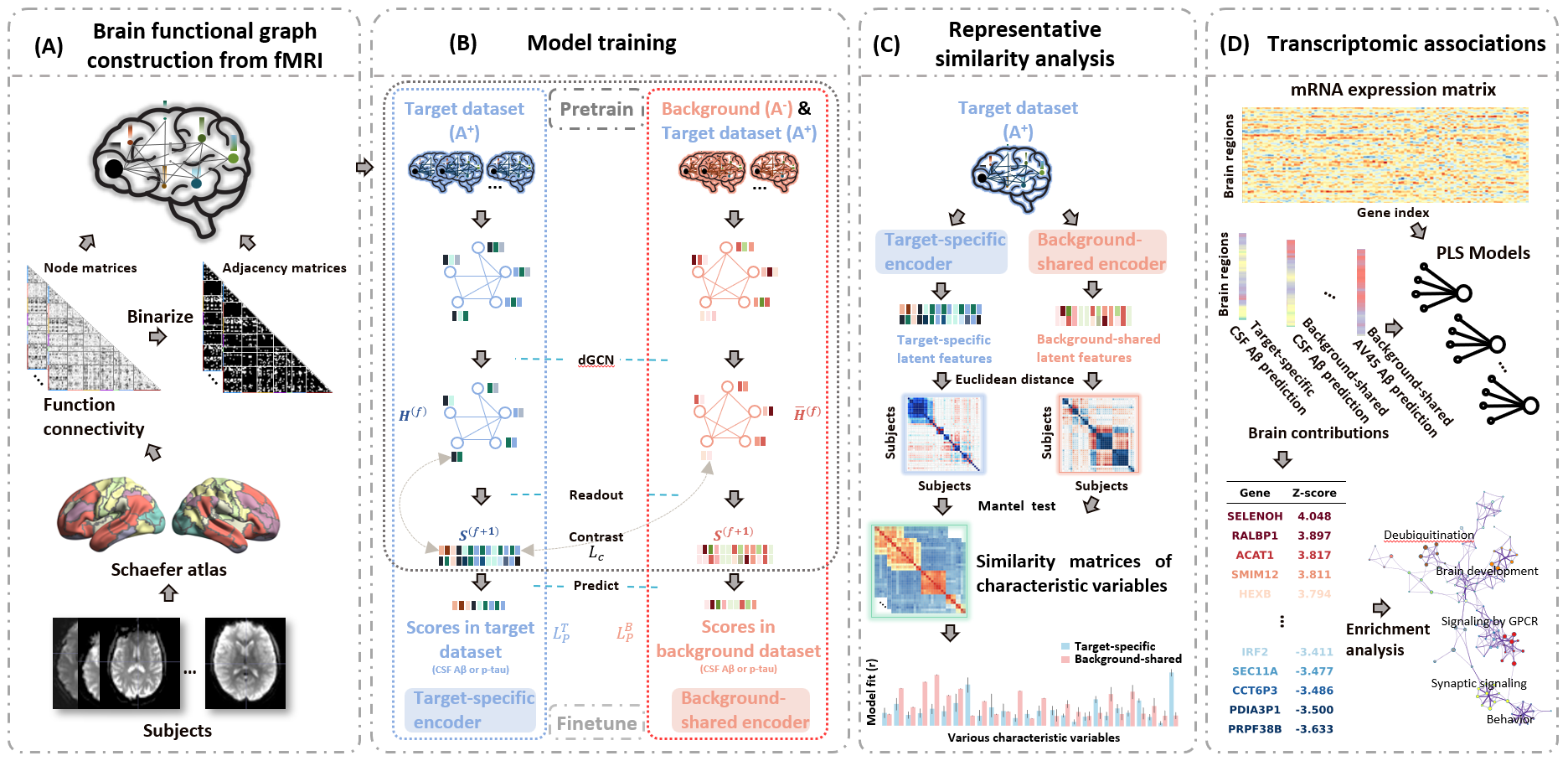 Flowchart for the amyloid/tau heterogeneity paper
