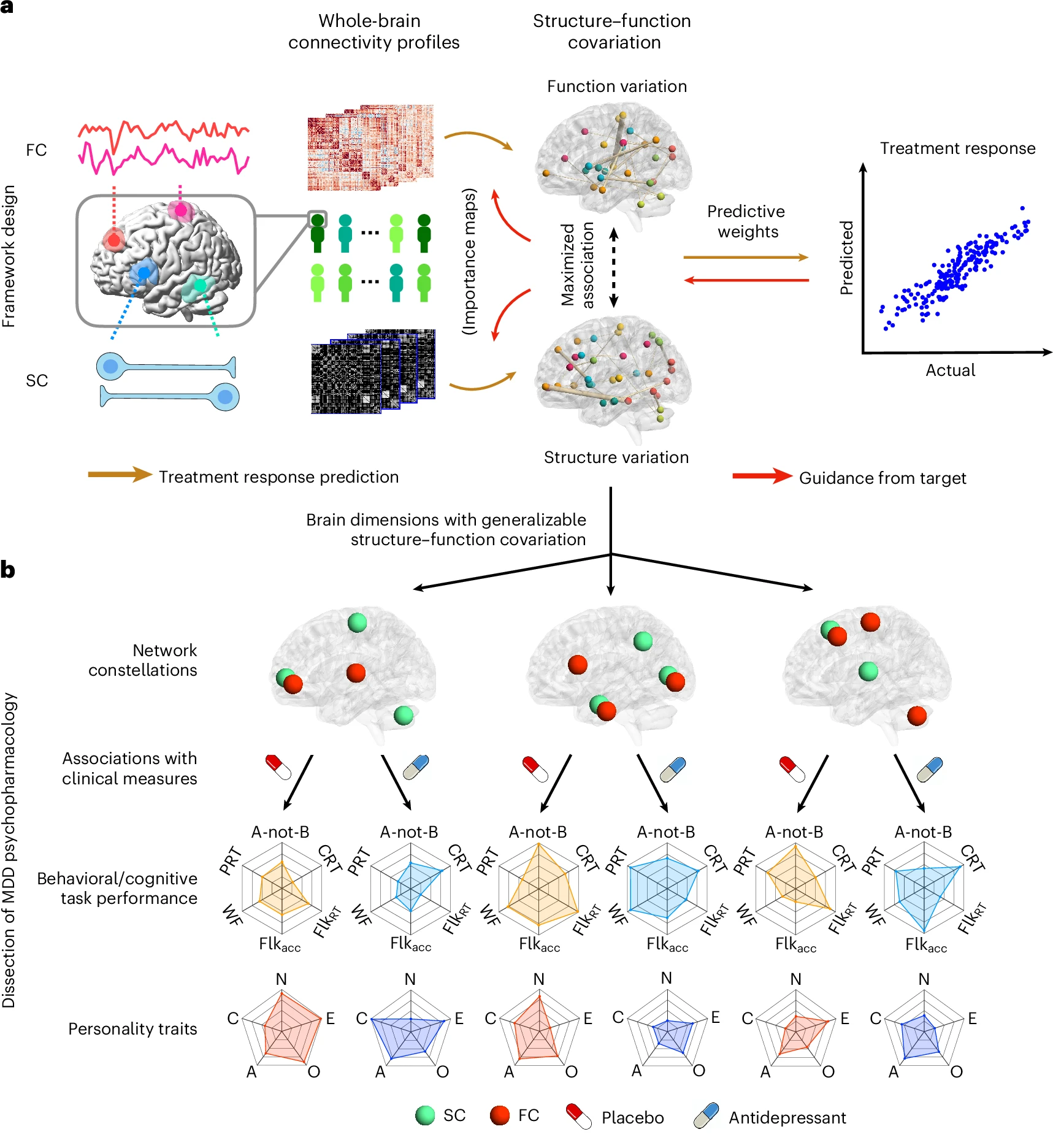 Flowchart for the structure-function covariation antidepressant paper